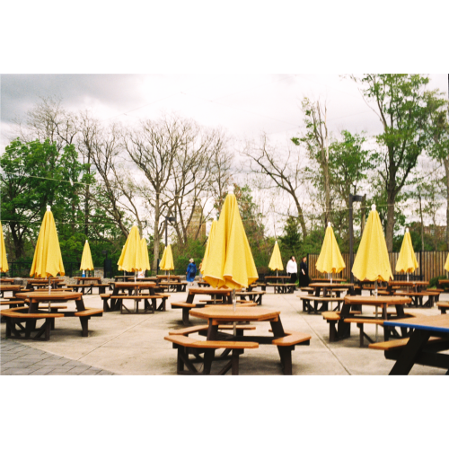 JillMCritelli-EmpireState14